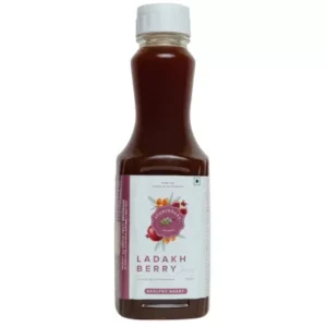 Baidyanath Ayurvedant Laddakh Berry Juice (1liter)