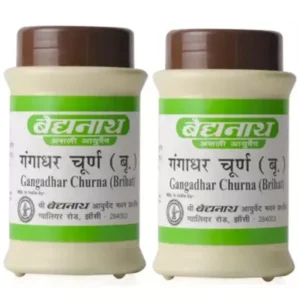 Baidyanath Gangadhar Churna (60g, Pack of 2)