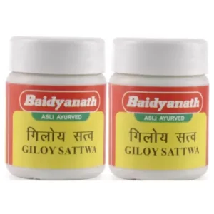 Baidyanath Giloy Satva (40g, Pack of 2)