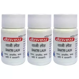 Baidyanath Dhatri Lauh (40tab, Pack of 3)