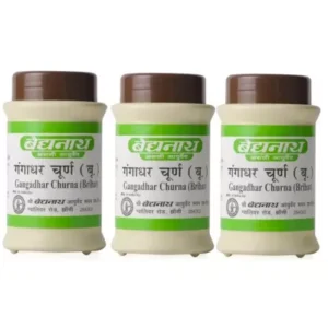 Baidyanath Gangadhar Churna (60g, Pack of 3)