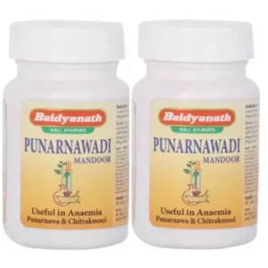 Baidyanath Punarnawadi Mandoor (40tab, Pack of 2)