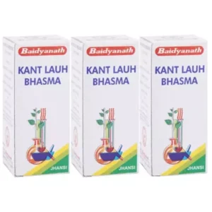 Baidyanath Kant Loha Bhasma (2.5g, Pack of 3)