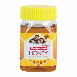 Baidyanath Pure Honey (240g)