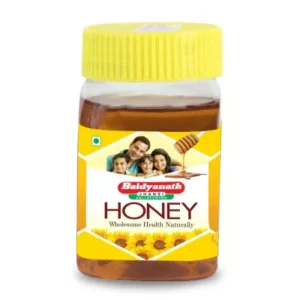 Baidyanath Pure Honey (450g)