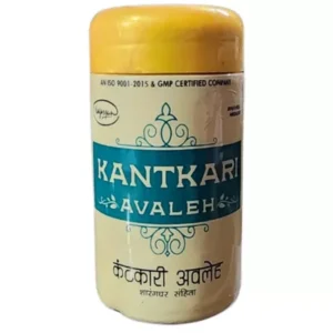 Nagarjun Kantkari Avaleh (400g)