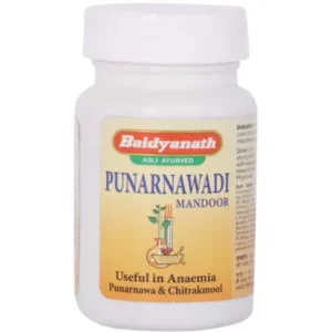 Baidyanath Punarnawadi Mandoor (40tab)