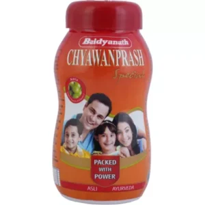 Baidyanath Chyawanprash (Special) (500g)