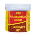 Vyas Punarnavamool Churna (100g, Pack of 3)